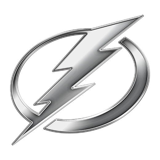 Tampa Bay Lightning Silver Logo iron on paper